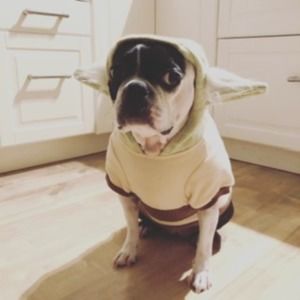 Meet your Posher, Gretchen